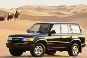     Toyota Land Cruiser 80 (   80)  